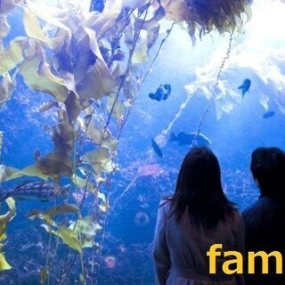 5月4日㈫20代限定☆わくわく水族館コンinうみたまご★コロナ対...