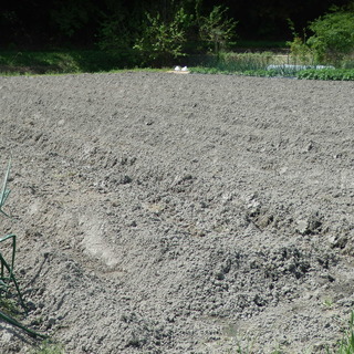 畑を貸します　農園　サンデー農園　貸し農園　自分で畑をしませんか？　野菜を自身で～　貸農園　家庭菜園 - 短期賃貸