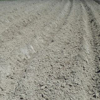 畑を貸します　農園　サンデー農園　貸し農園　自分で畑をしませんか？　野菜を自身で～　貸農園　家庭菜園 - 不動産