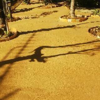 かっこいいお庭にしませんか？