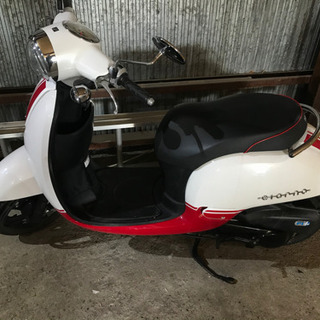 HONDA☆GIORNO☆AF70☆ジョルノ☆50cc
