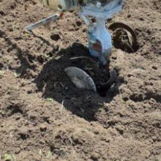 家庭用耕運機(HONDAこまめ)の画像