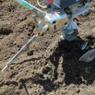 家庭用耕運機(HONDAこまめ)の画像