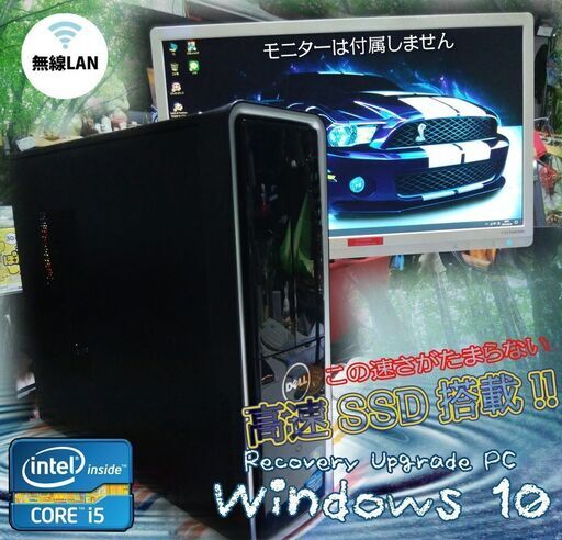 完売御礼)くまねず《姫路》コロナに負けへんぞ^^～u003c