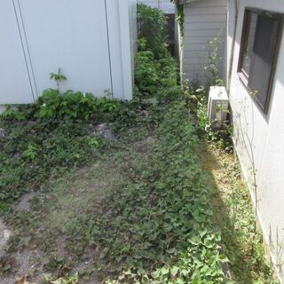 庭の防草工事、福岡。コンクリート打ち、格安