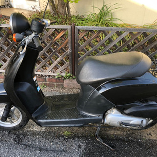 トゥデイ50cc 綺麗　