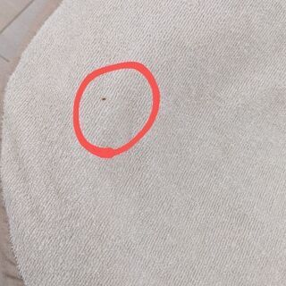 おやすみたまご　エアメッシュ付属の画像