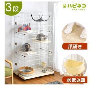 ※GW期間中限定価格(*^^*)　★完全新品・未開封 ★ キャッ...