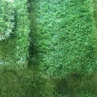 モダンデコ　人工芝　3枚セット　38mmの画像