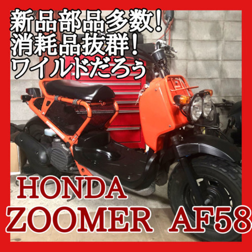 ☆安心の点検整備.動画☆ホンダ ズーマー ZOOMER☆新品部品多数整備で消耗品もばっちり好調です！程度も良好！