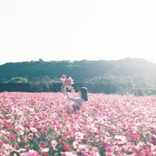 一緒にカフェや美術館や公園に行ってくれる方を募集してます☀ - 友達