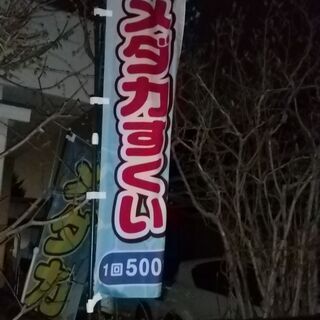 めだか掬い　1回　子供300円　　大人500円
