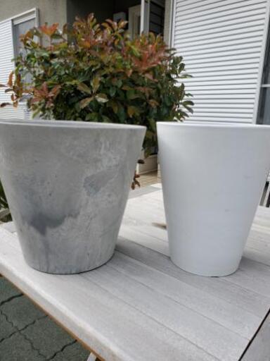 植木鉢　2点セット