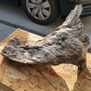 流木　大サイズの画像
