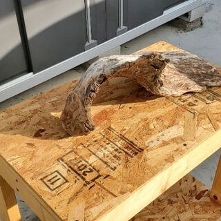 流木　大サイズの画像