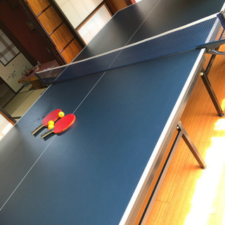 卓球台　公式サイズ　　の画像