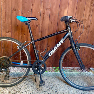 子供用自転車 ジャイアント ESCAPE JR