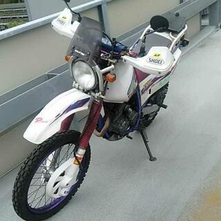 ＴＴ２５０Ｒ　大幅値下げ　入れ替えも考え中