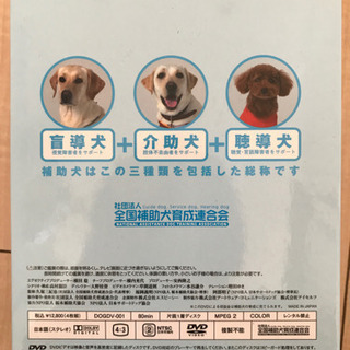 お譲りします。小さなお子様へ