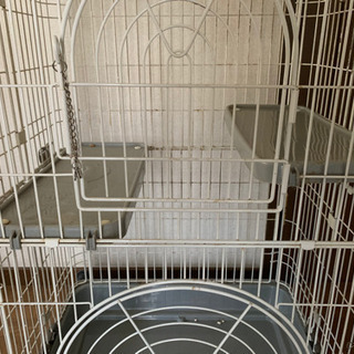 猫ゲージあげますの画像