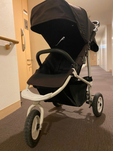 エアバギーココプレミア代官山限定モデル