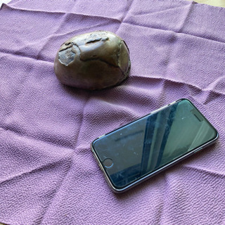 鑑賞石③の画像