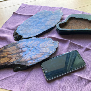 鑑賞石③の画像
