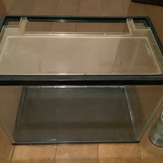 水槽　メダカに使えますの画像