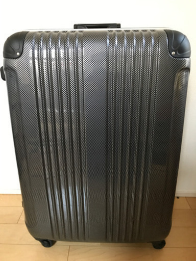 キャリーバッグ未使用