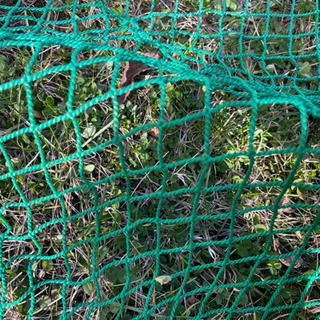 防球ネット　1枚の画像