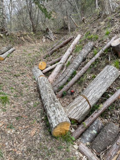 薪ストーブや焚き付けに！