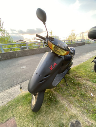 ライブＤＩＯZX