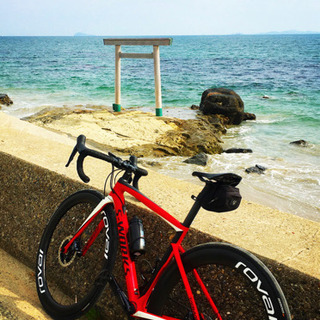 ロードバイク仲間！募集