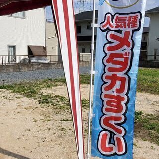 改良メダカすくい＆展示即売のご案内①