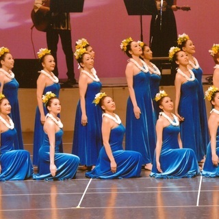 初心者クラス新規開講