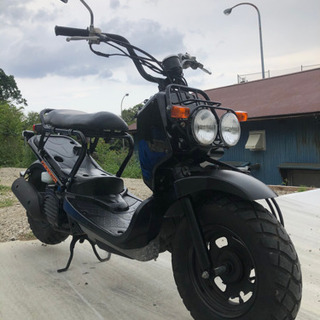 【動画有り】ホンダ・ズーマー（キャブレター使用）中古車。