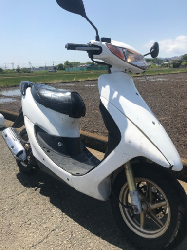 ホンダライブディオZX白