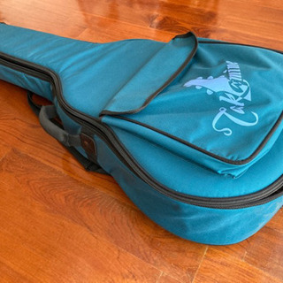 タカミネエレアコPTU131KC Nの画像