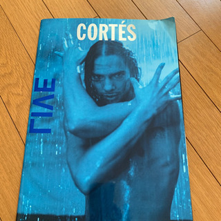 ホアキンコルテス　パンフレット