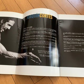 ホアキンコルテス　パンフレットの画像