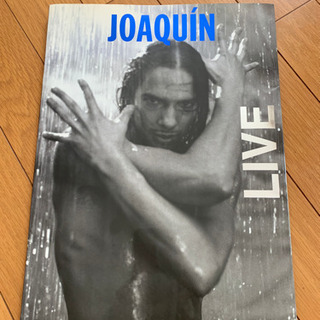 ホアキンコルテス　パンフレットの画像