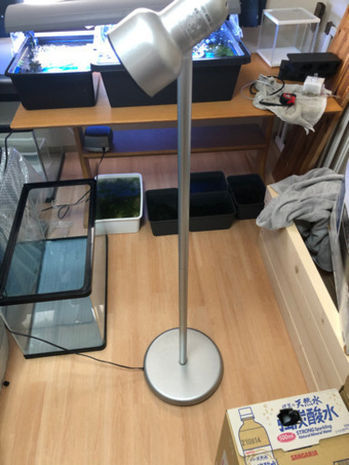 3連ライト　高さ160センチ程