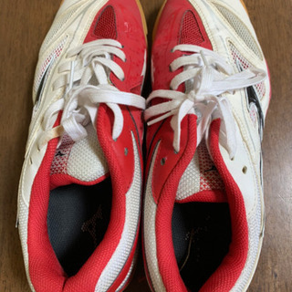 卓球シューズ　26センチ