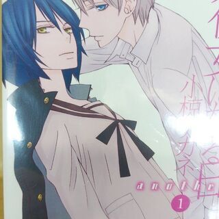 彼女になる日ａｎｏｔｈｅｒ「１～４」全巻　