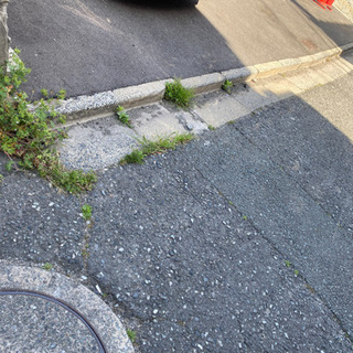 草むしり