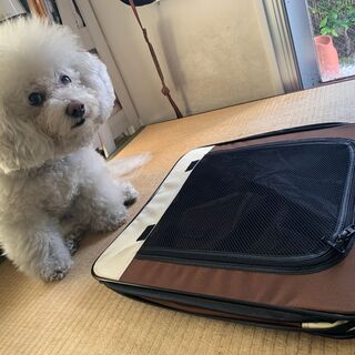 （～5/9）犬ケージ～パッと開いてすぐに使える 折りたたみキャリーバッグの画像