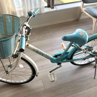 子供用自転車 22インチ ブリヂストン エコパル