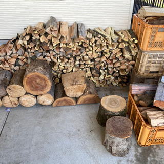 キャンプ薪　売りますの画像