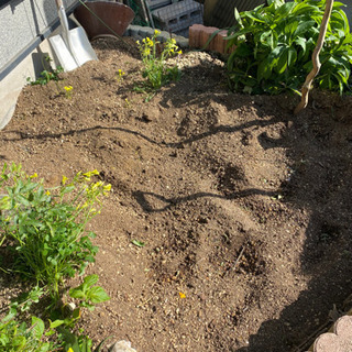 庭土　調整中の為一旦終了します。