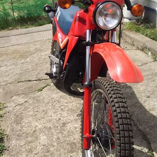 ｔｓハスラー50